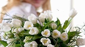 Tulpanens dag – 15 januari, 2008!