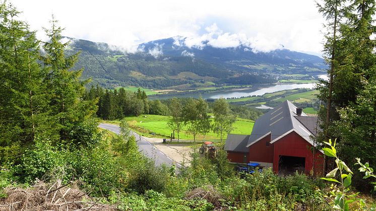 Gudbrandsdalen 
