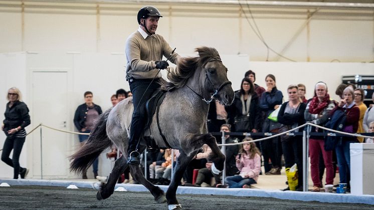 Magnús Skulason på Valsa från Brösarpsgården under en clinic på Elmia Icelandic Power Show 2017. Foto: Sofie Lahtinen-Carlsson
