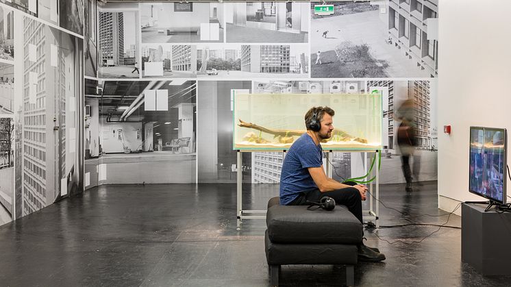 Järvaprojektet, Hembygdsakvarium, akvarium med grönlingar, 2013. Foto: Jean-Baptiste Beranger 
