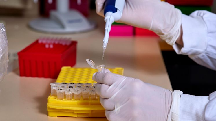 Pipettering av prover för analys.jpg