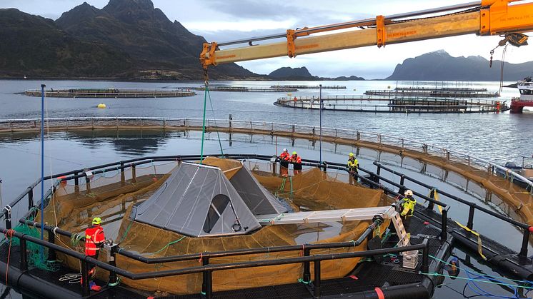 Sensorhouse being installed in one of the net pens at the sea site