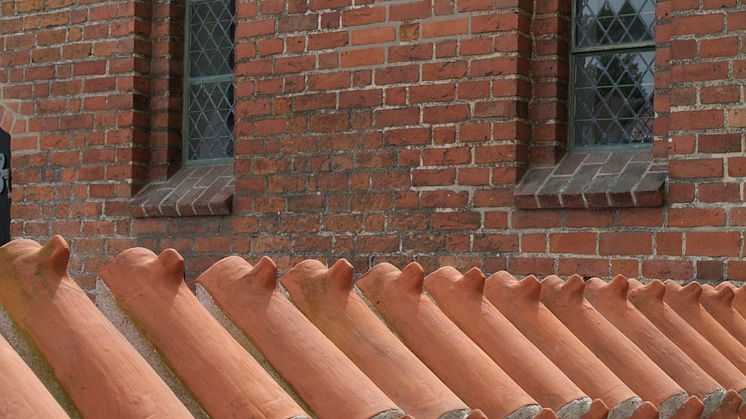 I skyggen af Roskilde Domkirke 6