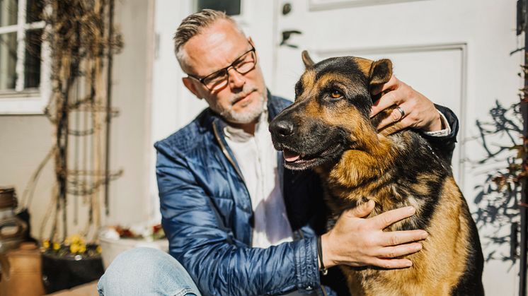 niklas_blocket_lisawikstrand-hund.jpg