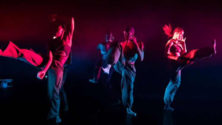 Company Nicolas Huchard - The barefoot diva