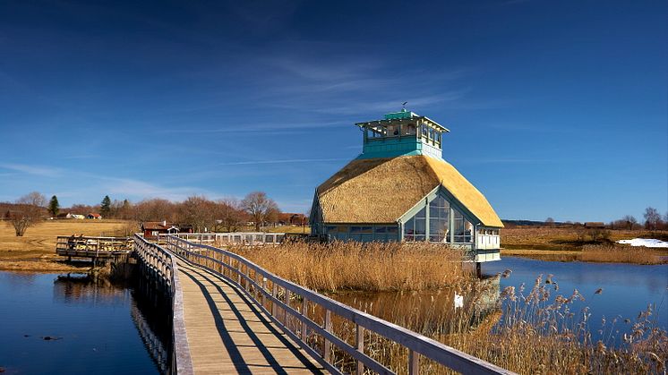 Naturum Hornborgasjön. Foto: Jonas Ingman