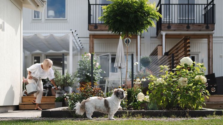Exempel på hus som kan förekomma i OBOS trädgårdsstad. 