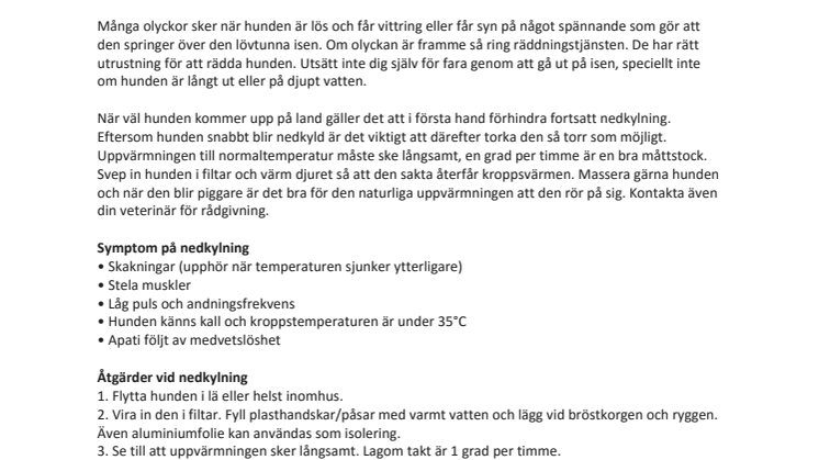 Akta er för tunna isar! 