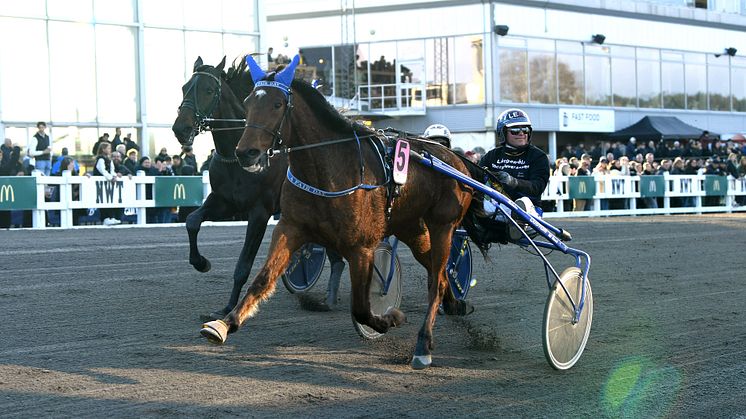 Den lilla tränaren med den fantastiska hästen tar plats nummer fem. ﻿﻿A Fair Day är klar för sista söndagen i maj. Foto: TR Bild