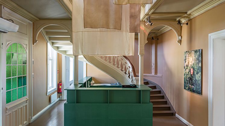 Hildur Bjarnadóttir colors of adaption 2020