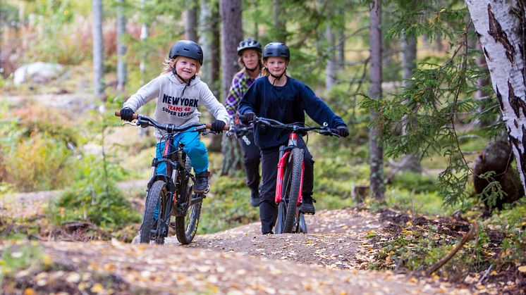 Cykla mtb och cross country