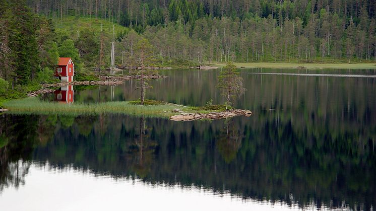 Nytt förslag med strandskyddsbestämmelser når inte hela vägen fram