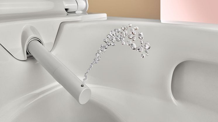 Geberit Aquaclean Alba ja WhirlSpray-pesu