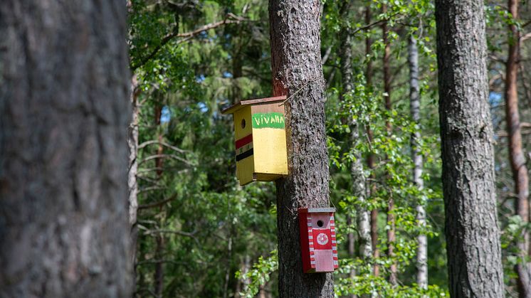 öknaskogen_bild_orebro_kommun