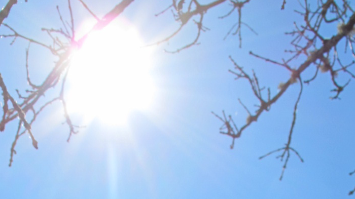 Solkarta för utveckling av solenergi i Örebro kommun