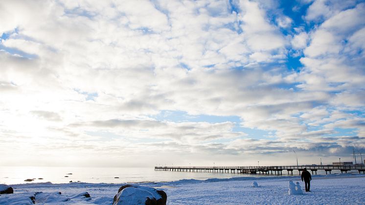 Skrea strand 