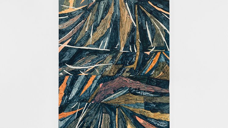 Fredrik Åkum - untitled