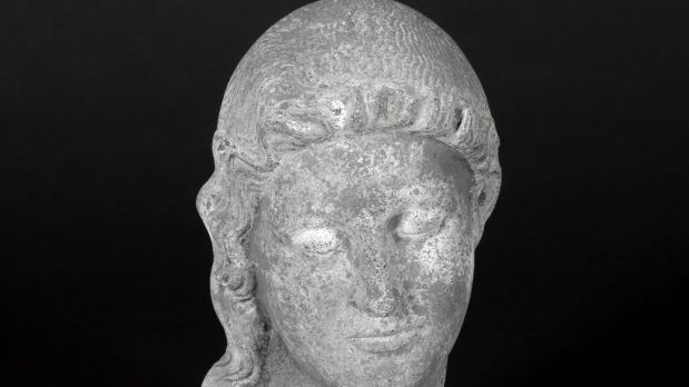 Johannes Bjerg, Danaid