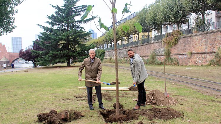 Pressefoto Zurich Baum-Pflanz-Aktion