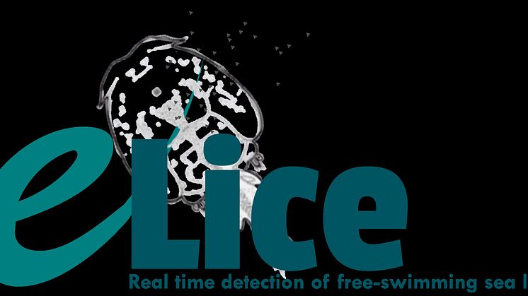 e-Lice