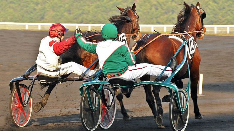 Startlista Prix de France - Maharajahs jakt på revansch