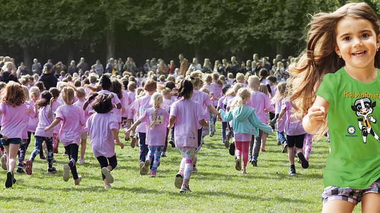 I maj och juni kommer över 30 000 barn att springa Kalvinknatet, Sveriges största barnlopp som arrangeras av Skånemejerier tillsammans med Malmö Allmänna Idrottsförening och lokala idrottsföreningar.