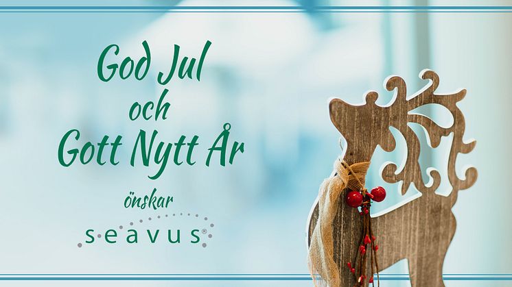 God Jul och Gott Nytt År önskar Seavus