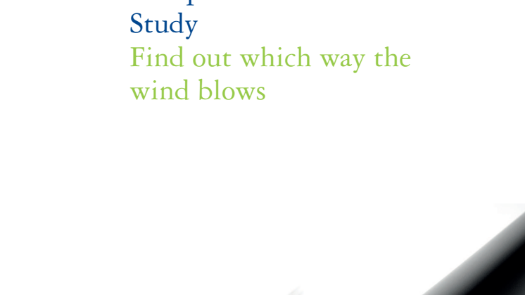European Wind Service Study 2012