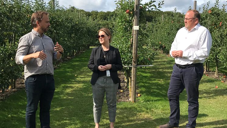 Landsbygdsminister Jennie Nilsson, odlingschef Jan Flemming Jensen samt VD Thomas Jensen Kiviks Musteri
