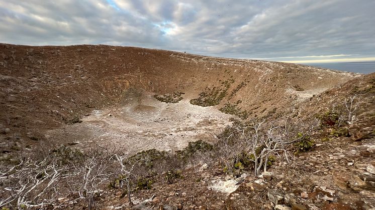 Crater Daphne Major 
