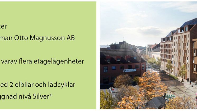 slaktaren 2.jpg