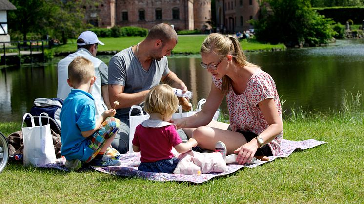 Danmarks største picnic: Dacia samler tusindvis af mennesker