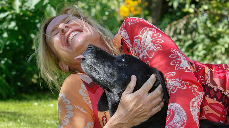 Seul, Hund lachend