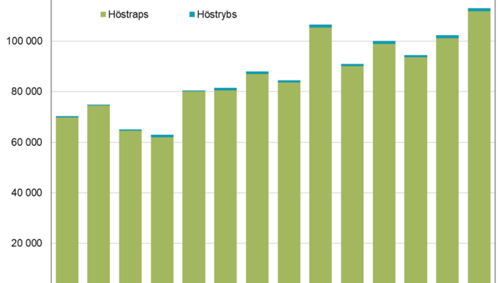 Höstsådda arealer av oljeväxter 2008–2021