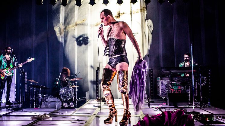 Hedwig_MB_3