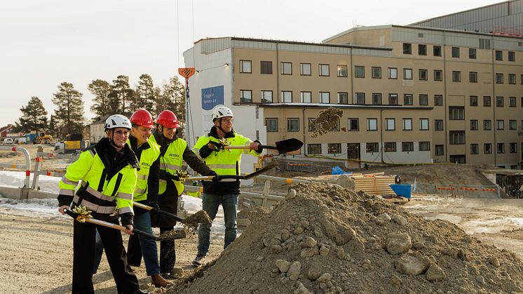 Ett första spadtag av Emma Björkenstam, områdeschef på ByggDialog, Peter Olofsson, regionstyrelsens ordförande (S), Camilla Andersson, områdeschef Skellefteå och Fredrik Ahnorre, huvudprojektledare Ny vårdbyggnad. Foto: Klas Sjöberg