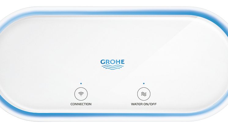 GROHE Sense Guard