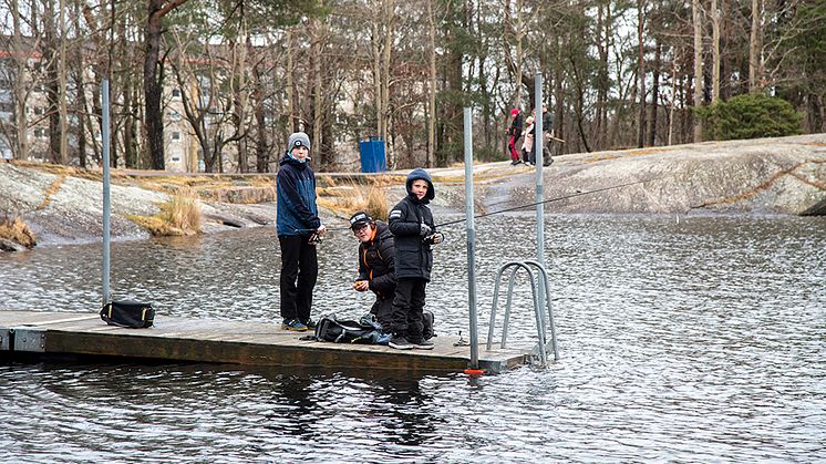 fiskebergsjön7_1000.jpg