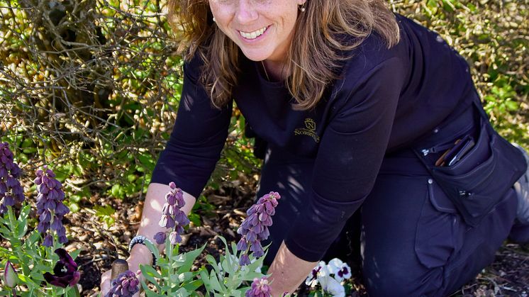 Anneli Runesdotter Nickel