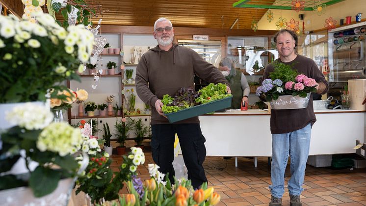 Klaus Lewinsohn und Klaus Göttig (von links) bringen das frische Bio-Gemüse direkt vom Beet in den Gärtnerei-Laden.