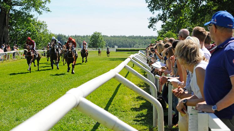 Pressinbjudan: Svenskt Grand National på Strömsholm den 17 juni 2023