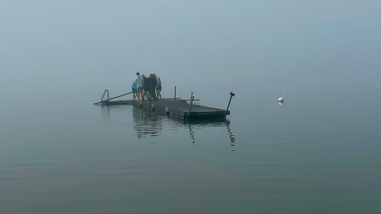 IMG_6905.jpg