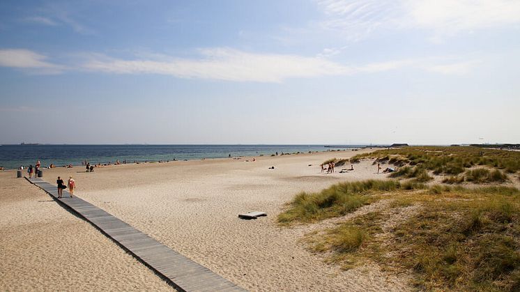 Om Amager 