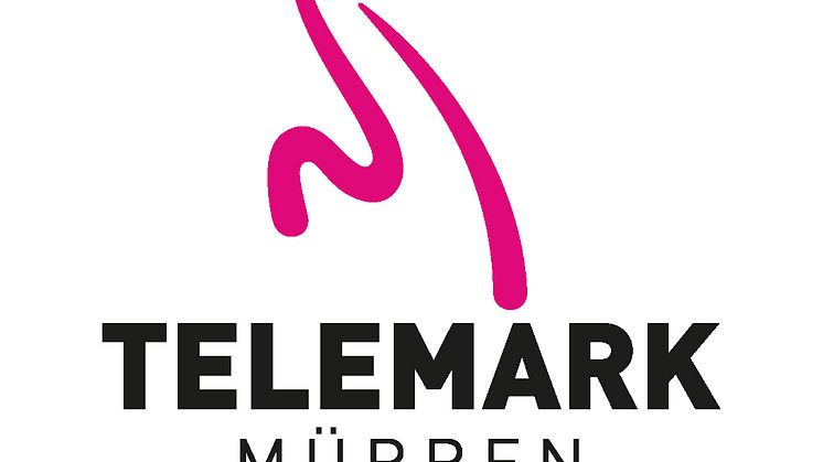 Logo Telemark WM