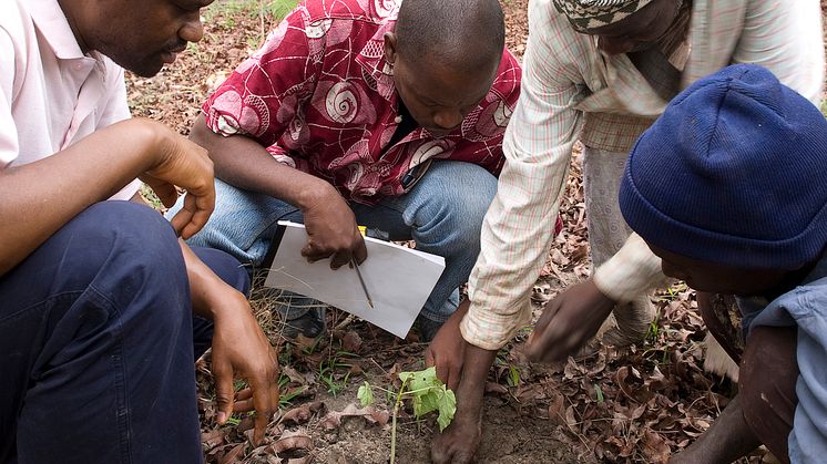 Kia - Planting for a Better Life