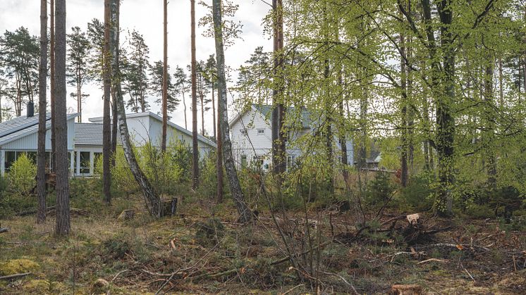 Arkeologi Ljungaviken 2020 2 CMYK