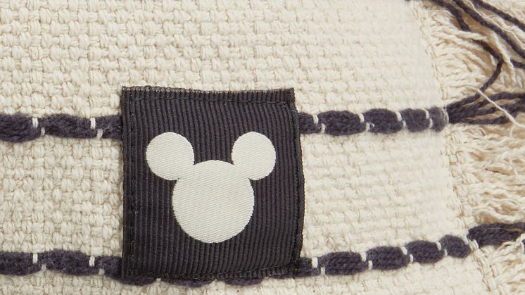 Environmental_Disney3.jpg
