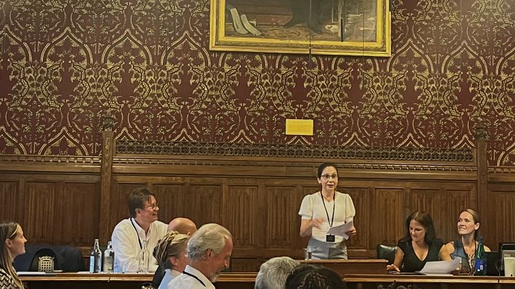 Forskaren Nóra Kerekes på plats i House of Lords i London.