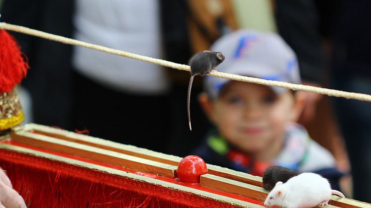 Tag der offenen Tür 2015