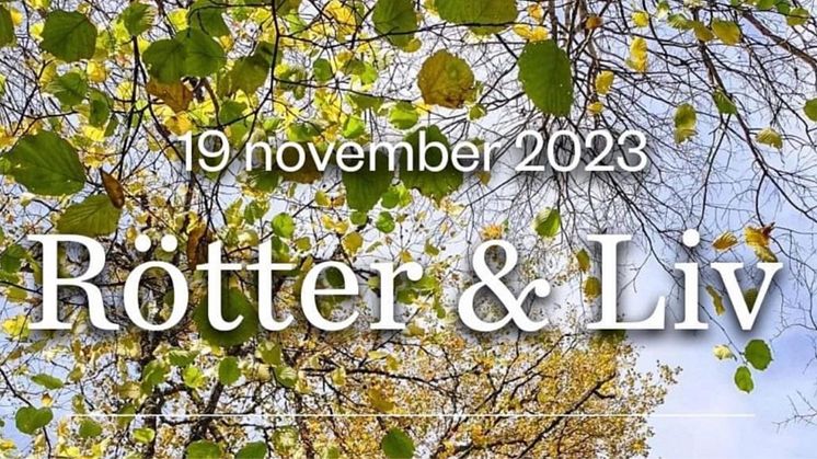 Rötter och liv – en dag för judisk-kristna relationer